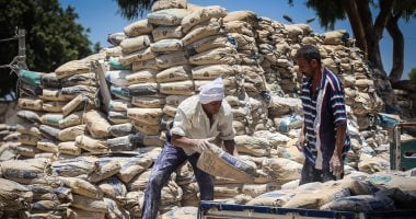 سعر الأسمنت اليوم السبت 25 -11-2025