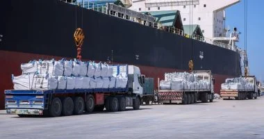 مصر تضاعف واردات فول الصويا مع تراجع الأسعار لأدنى مستوى منذ 2022