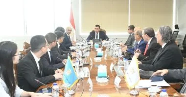 وزير الإسكان يستقبل وفد شركة جيانجسو فينجاي الصينية لتعزيز سبل التعاون المشترك