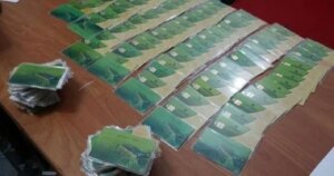 خطوات تحديث بيانات بطاقات التموين أونلاين.. اعرف التفاصيل