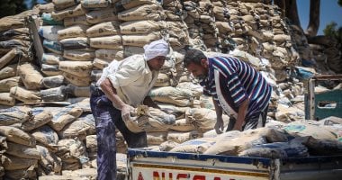 سعر الأسمنت اليوم الأربعاء 7 يناير 2026 يشهد تغييرات في المصانع والأسواق