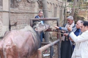 التعليم تعلن قرب طرح النماذج الاسترشادية لامتحانات الثانوية العامة 2026