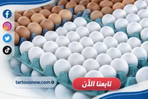 اسعار البيض