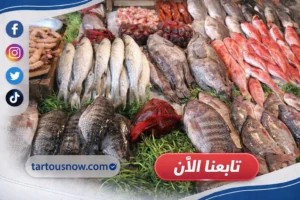 أسعار الأسماك اليوم في أسواق مرسى مطروح الثلاثاء 3 مارس 2026 بالتفصيل