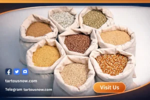 أسعار الأعلاف اليوم في مصر الأحد 8 مارس 2026 وارتفاع طن علف الدواجن والخامات بالأسواق