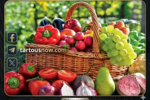 أسعار الخضروات