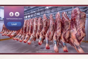 أسعار اللحوم اليوم