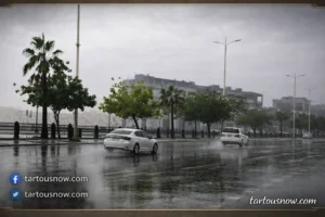 أمطار متوسطة تهطل على الدمام والظهران ومحافظات بالمنطقة الشرقية